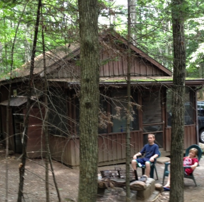 Cottage in the Woods